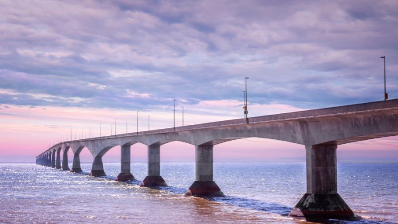 Seguridad Psicológica La Clave para Equipos de Alto Rendimiento